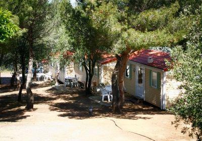 фото отеля Domaine Residentiel de plein-air La Pinede Cap d'Agde