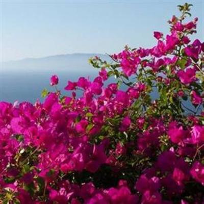 фото отеля Finikia Place Hotel Oia (Greece)