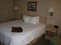 Hampton Inn Cape Girardeau