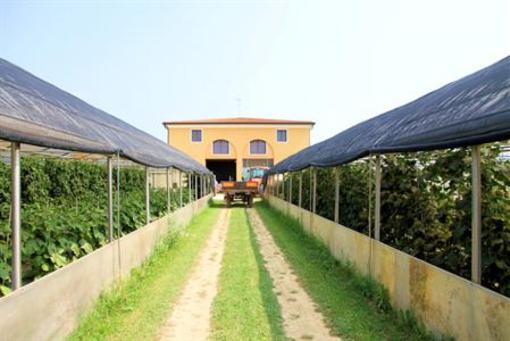 фото отеля Agriturismo Il Melograno Apartment Venice