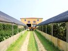 фото отеля Agriturismo Il Melograno Apartment Venice