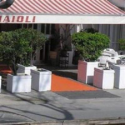 фото отеля Hotel Maioli