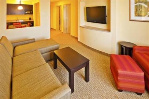 фото отеля Holiday Inn Express Hotel & Suites Nashville - Opryland