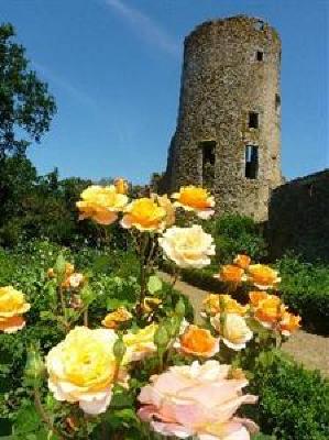 фото отеля Chateau De La Flocelliere