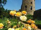 фото отеля Chateau De La Flocelliere