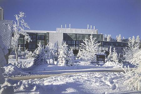 фото отеля BEST WESTERN Waldhotel Stephanshoehe