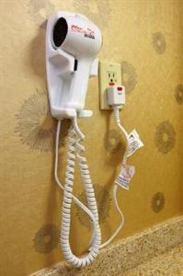 фото отеля Holiday Inn Toronto-Brampton Hotel & Conference Centre