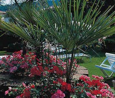 фото отеля Eden Hotel Garda