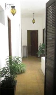 фото отеля Mezcalito Blue Hostel