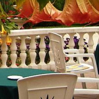 фото отеля Platan Park Hotel