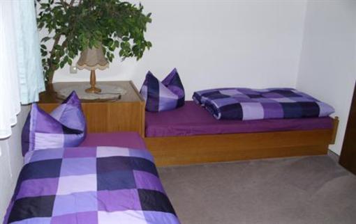 фото отеля Pension Waldidyll