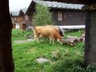 фото отеля Barghuus Axalp