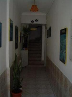 фото отеля Siren Pension
