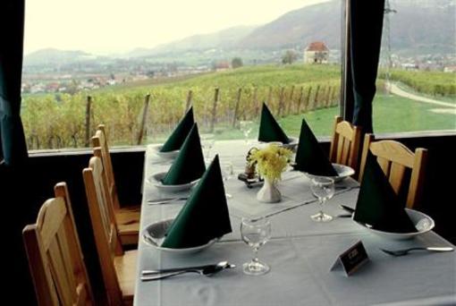 фото отеля Wine Grower's Mansion Zlati Gric Hotel Slovenske Konjice