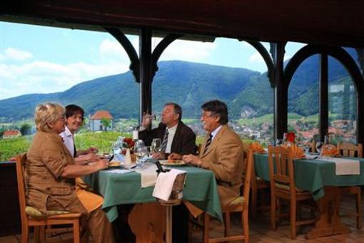фото отеля Wine Grower's Mansion Zlati Gric Hotel Slovenske Konjice