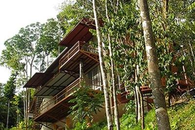 фото отеля Mar Y Selva Ecolodge