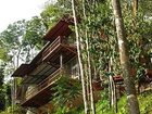 фото отеля Mar Y Selva Ecolodge