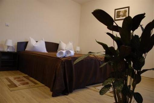 фото отеля Pension Iarina Fagaras