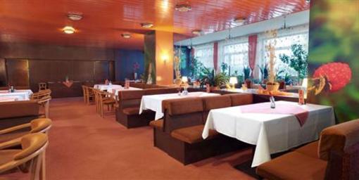 фото отеля Hotel Borova Sihot