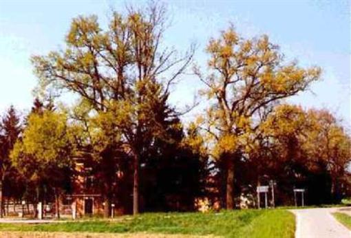 фото отеля Magnagallo