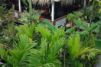 фото отеля La Niche D'Angkor Boutique
