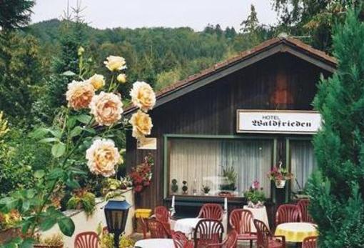 фото отеля Ferienhotel Waldfrieden