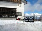 фото отеля Rental Cottage White Rabbit Madarao Kogen Iiyama