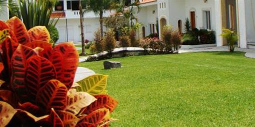 фото отеля Hotel Canarios