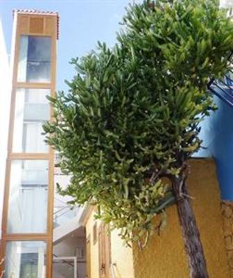 фото отеля Apartamentos Mayaguez
