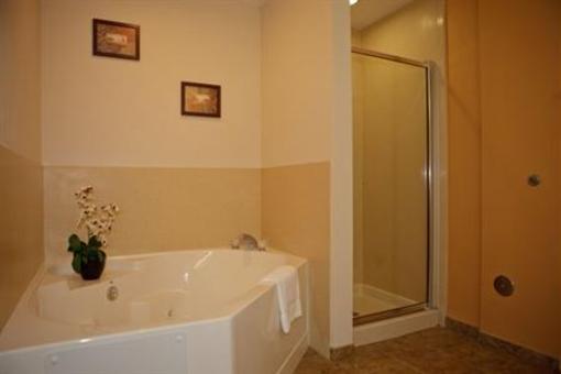 фото отеля Holiday Inn Express Hotel & Suites Silver Springs