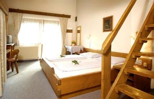 фото отеля Gasthof Hotel Tiroler Buam Saalbach-Hinterglemm