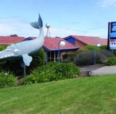 фото отеля Blue Whale Motor Inn & Apartments