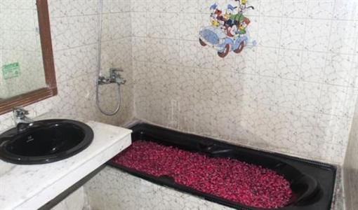 фото отеля South Indian Hotel