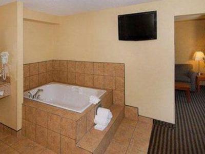 фото отеля Comfort Inn & Suites Vancouver