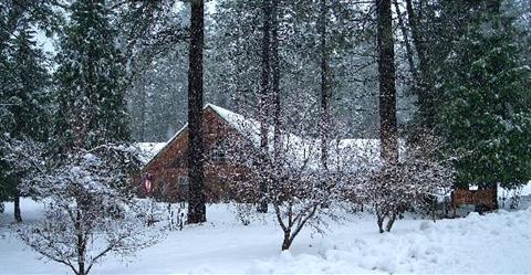 фото отеля Arnold Black Bear Inn