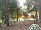 фото отеля Arnold Black Bear Inn