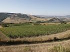 фото отеля Il Poggio San Casciano Bagni