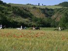 фото отеля Il Poggio San Casciano Bagni