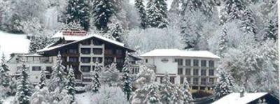 фото отеля Wohlfuehl & Genusshotel Felsenhof