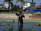 фото отеля Laemya Inn Rayong