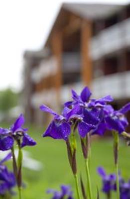 фото отеля BEST WESTERN PREMIER The Lodge on Lake Detroit