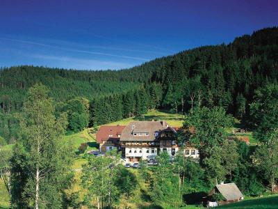 фото отеля Waldhotel Fehrenbach