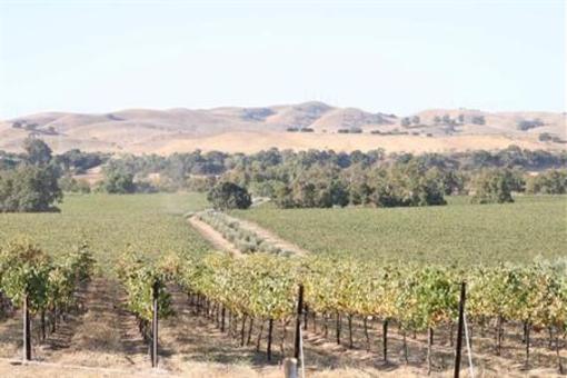 фото отеля Hampton Inn Livermore