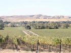фото отеля Hampton Inn Livermore