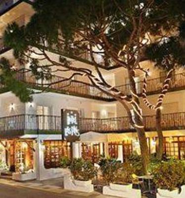 фото отеля Hotel Els Pins