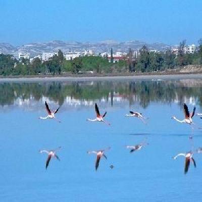 фото отеля Onisillos Hotel Larnaca Cyprus