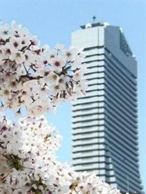 фото отеля Hotel Osaka Baytower