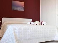 B&B Petali