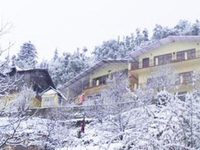 Apple Orchard Resort