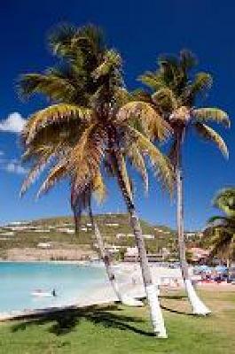 фото отеля Divi Little Bay Beach Resort